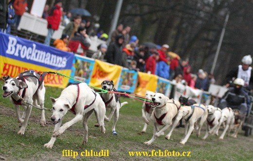 Rastede 08 - 0957.jpg